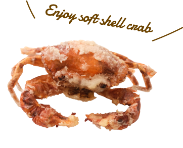 Enjoy soft shell crab