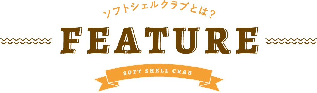 ソフトシェルクラブとは？ FEATURE soft shell crab