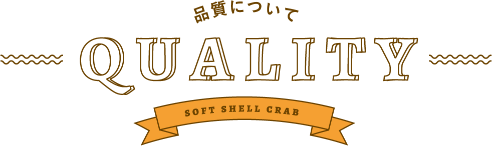 品質について QUALITY soft shell crab